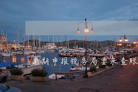 逾期申报税务局要来查账 逾期申报税务局要来查账