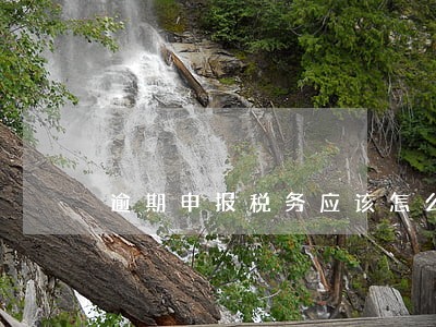 逾期申报税务应该怎么申报 逾期申报税务应该怎么申报