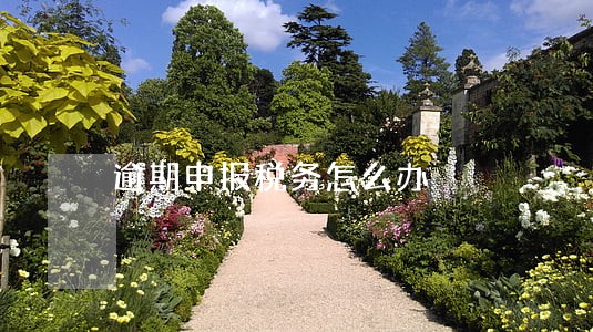 逾期申报税务怎么办 逾期申报税务怎么办