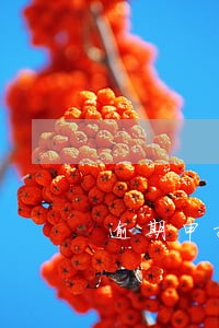 逾期申报税务怎么处罚 逾期申报税务怎么处罚