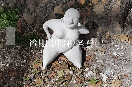 逾期申报税务登记 逾期申报税务登记