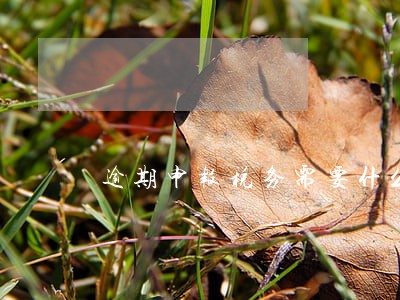 逾期申报税务需要什么 逾期申报税务需要什么