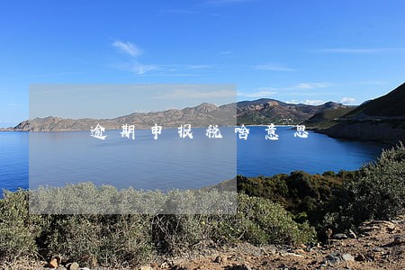 逾期申报税啥意思 逾期申报税啥意思