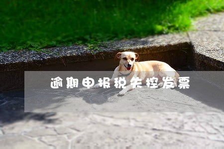 逾期申报税失控发票 逾期申报税失控发票