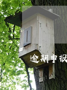 逾期申报税对纳税等级的影响