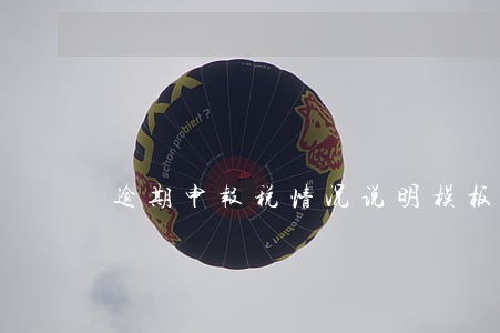 逾期申报税情况说明模板 逾期申报税情况说明模板