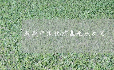 逾期申报税控盘无法反写 逾期申报税控盘无法反写