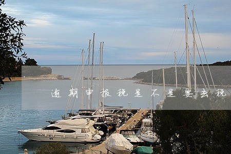 逾期申报税是不是要去税局