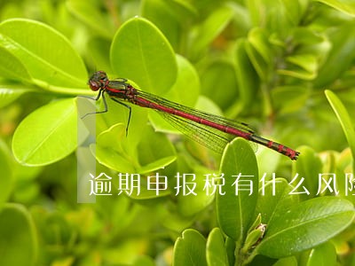 逾期申报税有什么风险 逾期申报税有什么风险