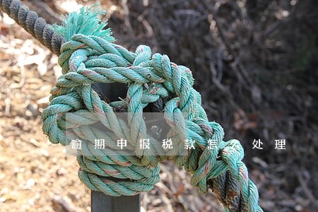 逾期申报税款怎么处理 逾期申报税款怎么处理