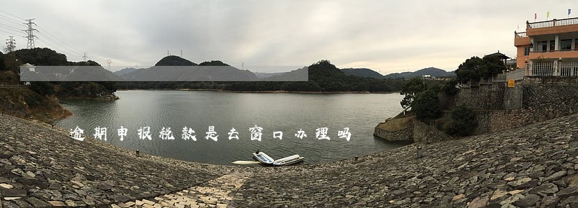 逾期申报税款是去窗口办理吗 逾期申报税款是去窗口办理吗