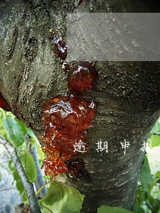 逾期申报税款滞纳金怎么算 逾期申报税款滞纳金怎么算