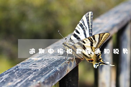 逾期申报税款要通知税务局嘛