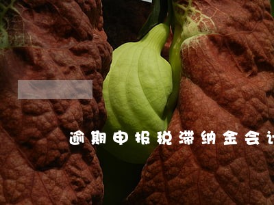 逾期申报税滞纳金会计处理 逾期申报税滞纳金会计处理