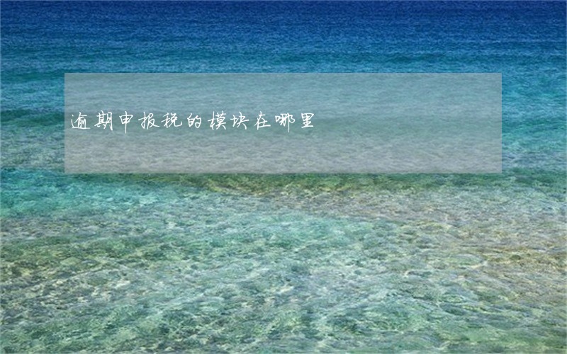 逾期申报税的模块在哪里 逾期申报税的模块在哪里