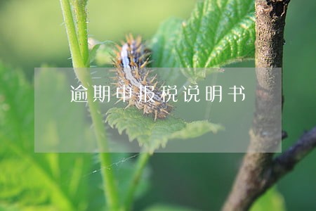 逾期申报税说明书