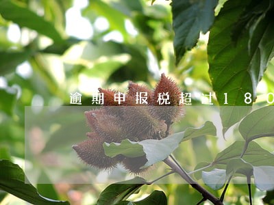 逾期申报税超过180天 逾期申报税超过180天