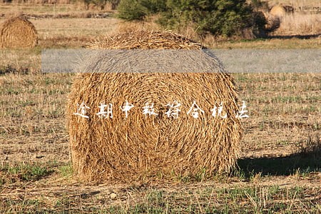 逾期申报符合税法