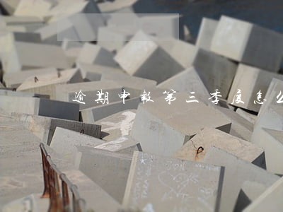 逾期申报第三季度怎么补 逾期申报第三季度怎么补