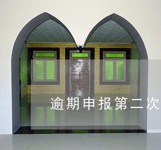逾期申报第二次罚款多少钱 逾期申报第二次罚款多少钱