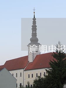 逾期申报简易程序处罚
