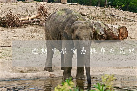 逾期申报简易程序处罚时间