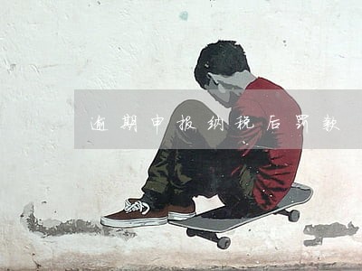 逾期申报纳税后罚款 逾期申报纳税后罚款