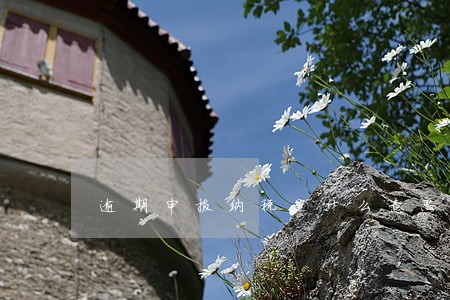 逾期申报纳税是什么意思 逾期申报纳税是什么意思