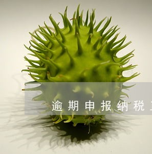 逾期申报纳税正当理由 逾期申报纳税正当理由