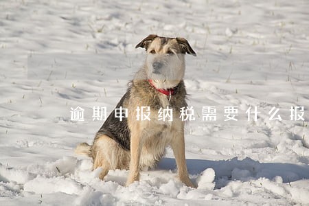 逾期申报纳税需要什么报表 逾期申报纳税需要什么报表