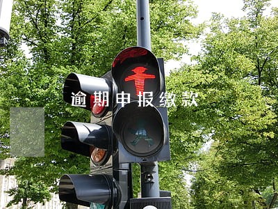 逾期申报缴款