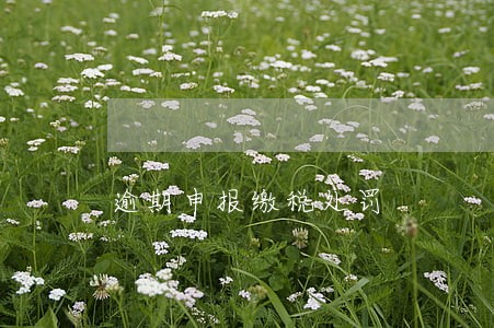 逾期申报缴税处罚 逾期申报缴税处罚