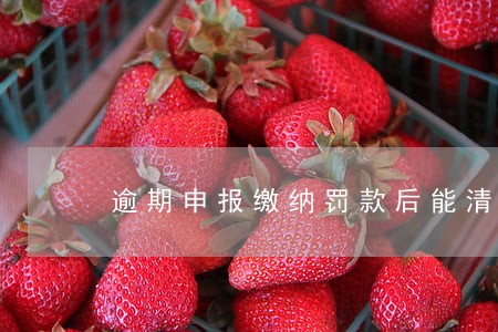 逾期申报缴纳罚款后能清盘吗 逾期申报缴纳罚款后能清盘吗