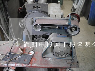 逾期申报网上报名怎么办 逾期申报网上报名怎么办
