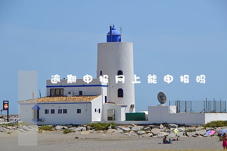 逾期申报网上能申报吗 逾期申报网上能申报吗