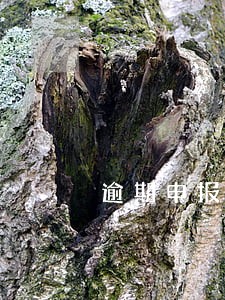 逾期申报罚200