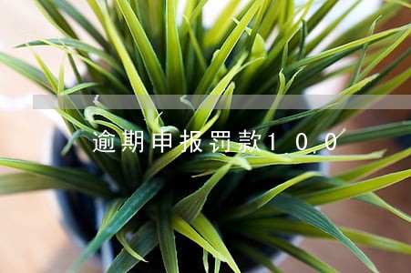逾期申报罚款100 逾期申报罚款100