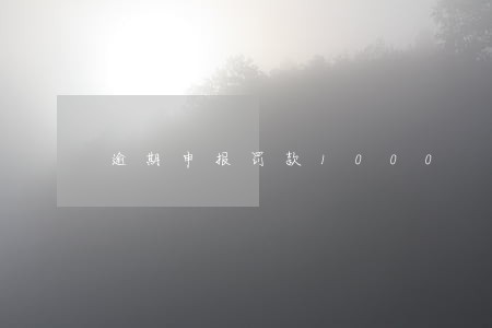 逾期申报罚款1000 逾期申报罚款1000