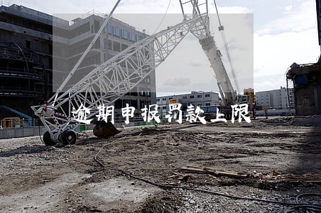 逾期申报罚款上限 逾期申报罚款上限