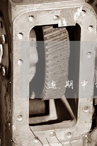 逾期申报罚款不交的后果 逾期申报罚款不交的后果