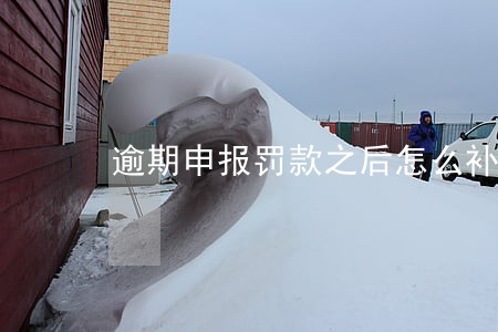 逾期申报罚款之后怎么补报