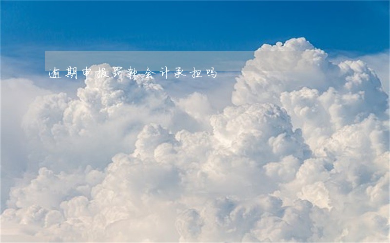 逾期申报罚款会计承担吗 逾期申报罚款会计承担吗