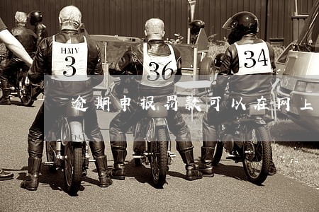 逾期申报罚款可以在网上缴纳吗 逾期申报罚款可以在网上缴纳吗