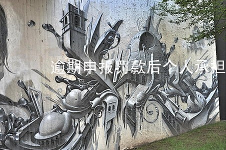 逾期申报罚款后个人承担 逾期申报罚款后个人承担
