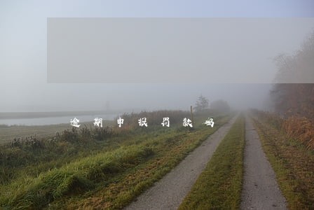 逾期申报罚款吗 逾期申报罚款吗