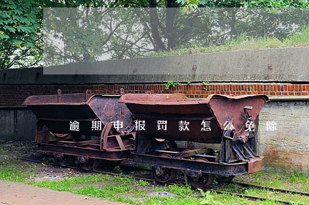 逾期申报罚款怎么免除 逾期申报罚款怎么免除
