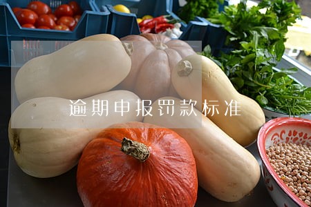 逾期申报罚款标准 逾期申报罚款标准