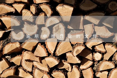 逾期申报罚款的文件 逾期申报罚款的文件
