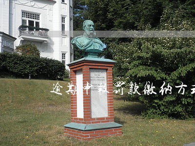 逾期申报罚款缴纳方式 逾期申报罚款缴纳方式