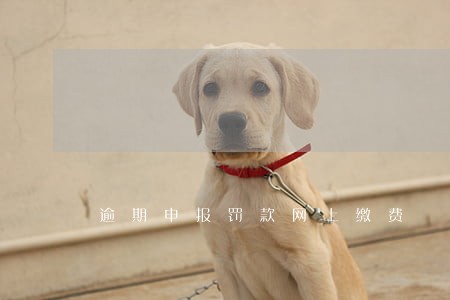 逾期申报罚款网上缴费 逾期申报罚款网上缴费